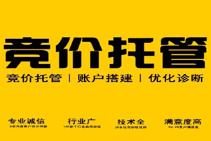 SEM托管代运营服务案例解析